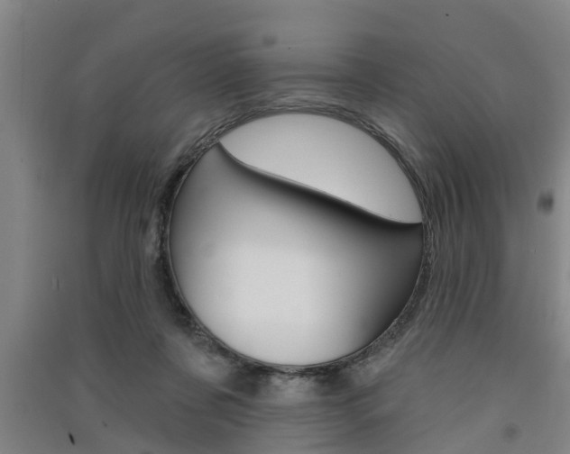 X0000091510311200708170954