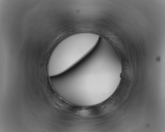 X0000091510312200708170954