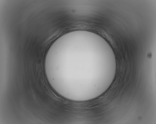 X0000091510313200708170954