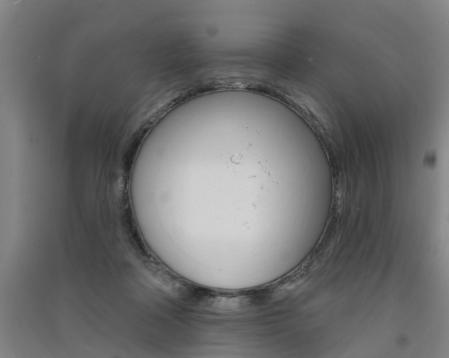 X0000091510314200708170954