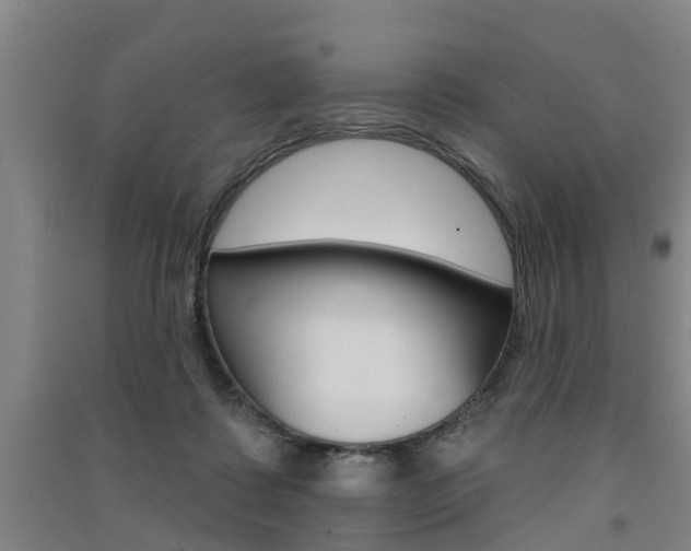 X0000091510315200708170954