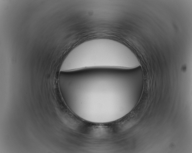 X0000091510316200708170954