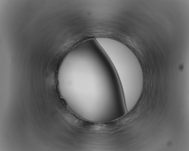 X0000091510317200708170954