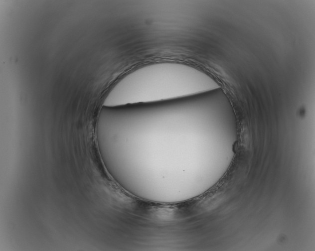 X0000091510318200708170954