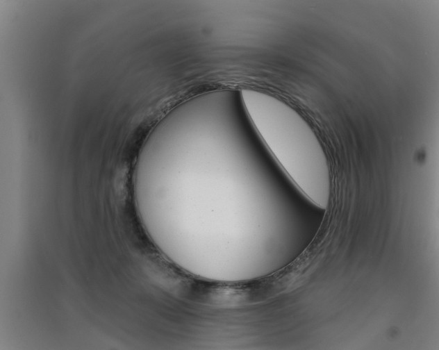 X0000091510319200708170954