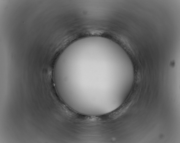 X0000091510321200708170954