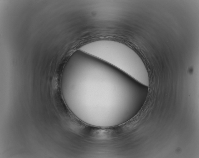 X0000091510323200708170954