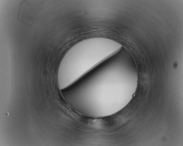 X0000091510324200708170954