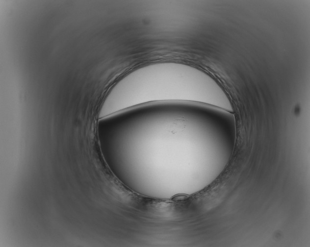 X0000091510325200708170954