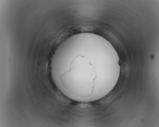 X0000091510327200708170954