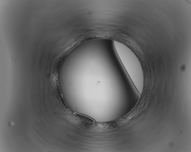 X0000091510329200708170954