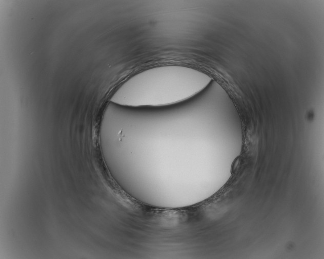 X0000091510330200708170954