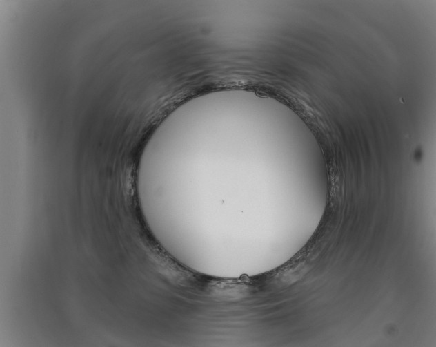 X0000091510331200708170954