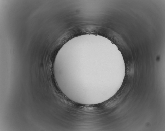 X0000091510332200708170954