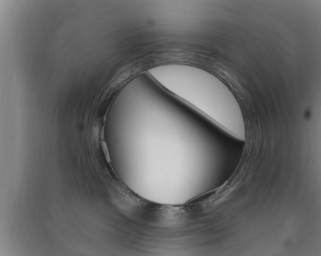 X0000091510333200708170954
