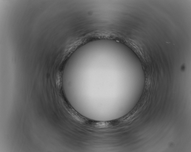 X0000091510335200708170954
