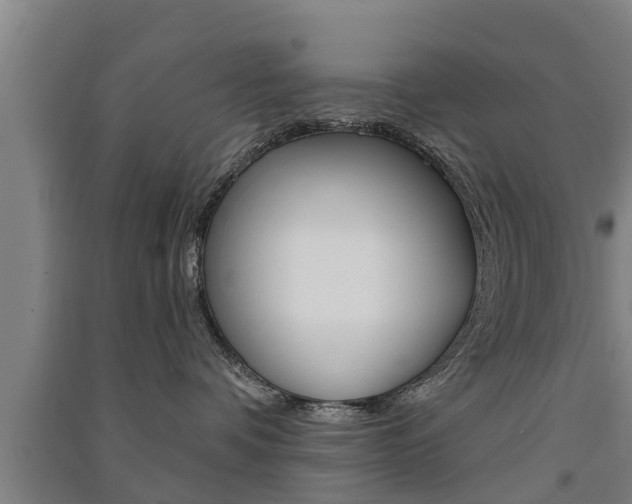 X0000091510336200708170954