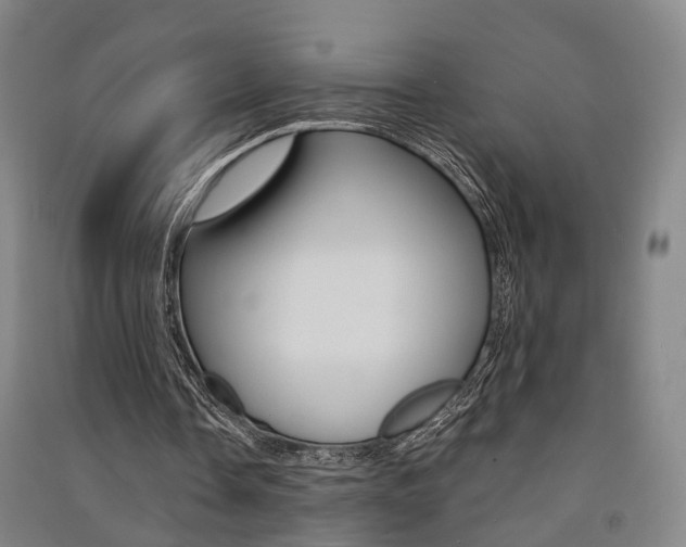 X0000091510338200708170953