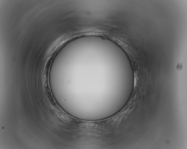 X0000091510339200708170953
