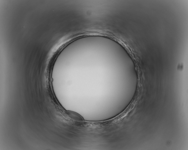 X0000091510343200708170953