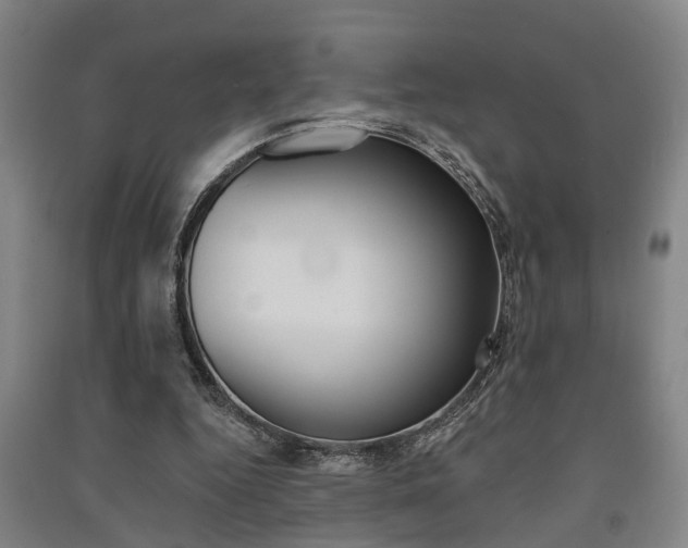 X0000091510344200708170953