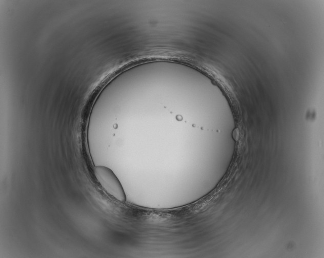 X0000091510346200708170953