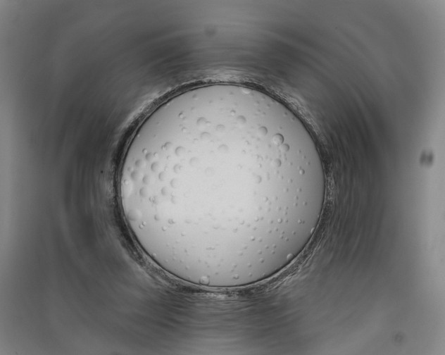 X0000091510347200708170954