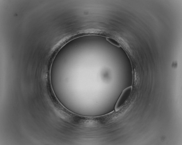 X0000091510348200708170954