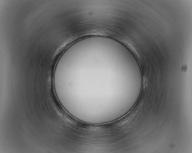 X0000091510349200708170954