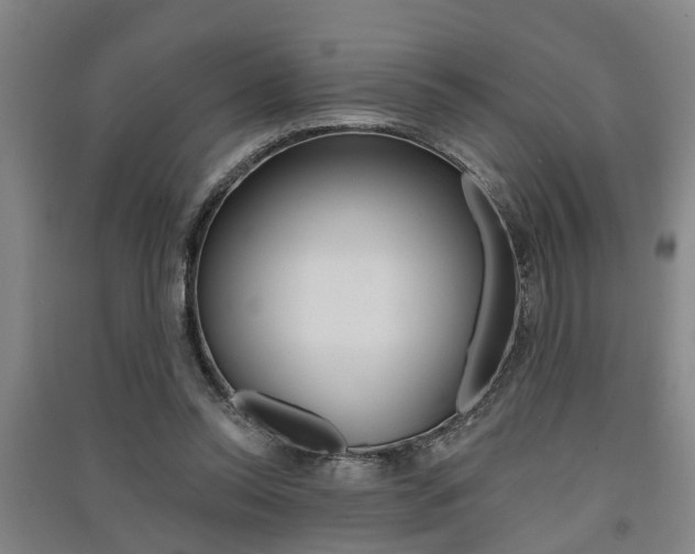 X0000091510350200708170954