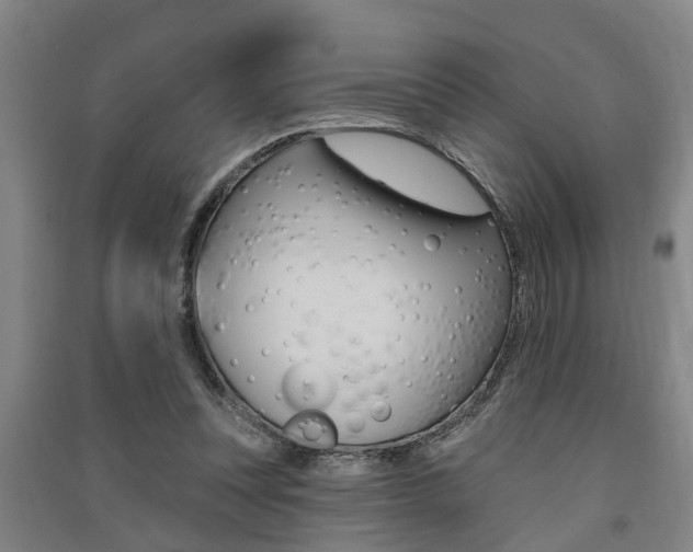 X0000091510351200708170954