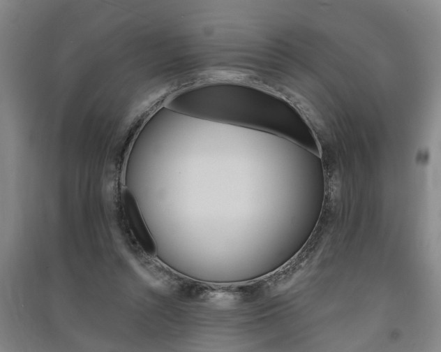 X0000091510352200708170954