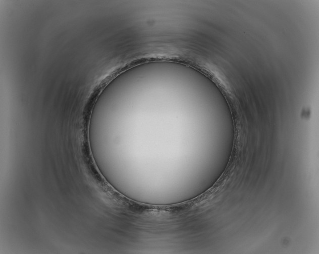 X0000091510354200708170954