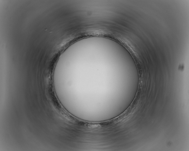 X0000091510355200708170954