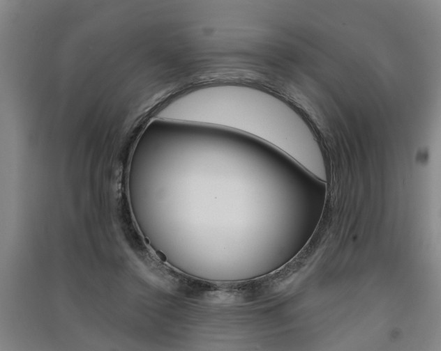 X0000091510356200708170954