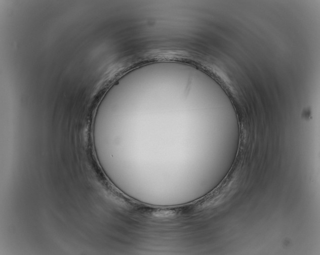X0000091510357200708170954