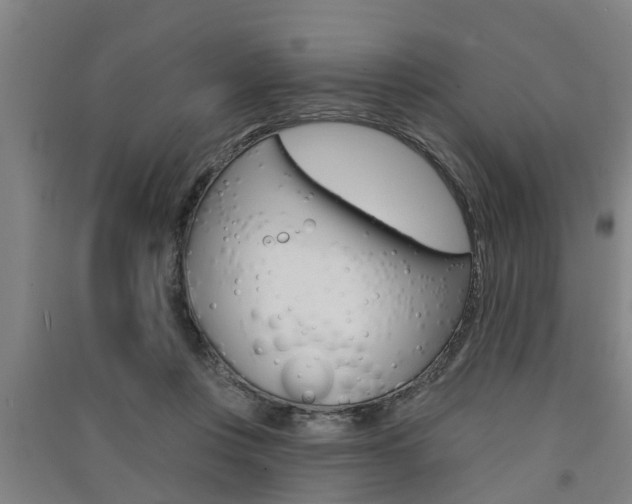 X0000091510359200708170954