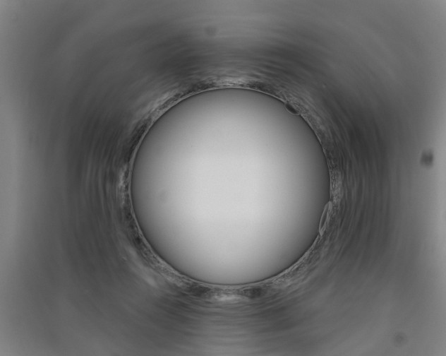 X0000091510360200708170954
