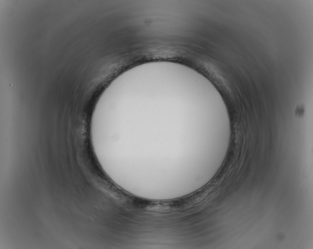 X0000091510362200708170954