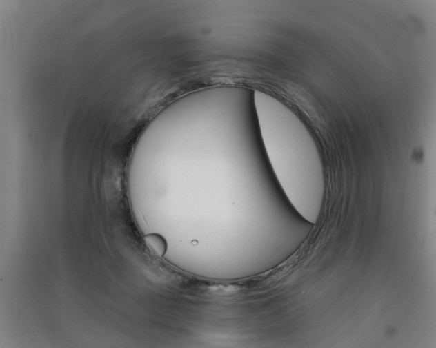 X0000091510363200708170954