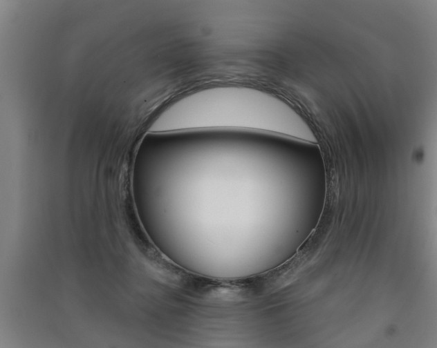X0000091510364200708170954