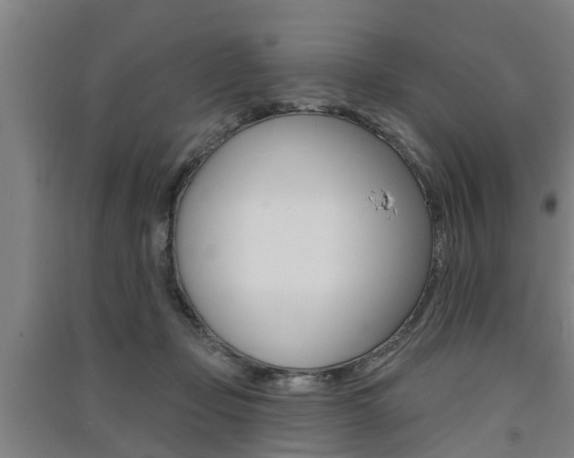 X0000091510365200708170954
