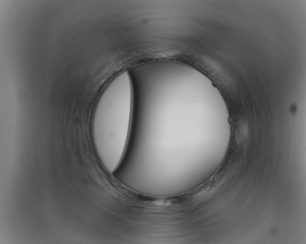 X0000091510366200708170954