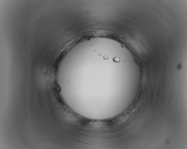 X0000091510367200708170954