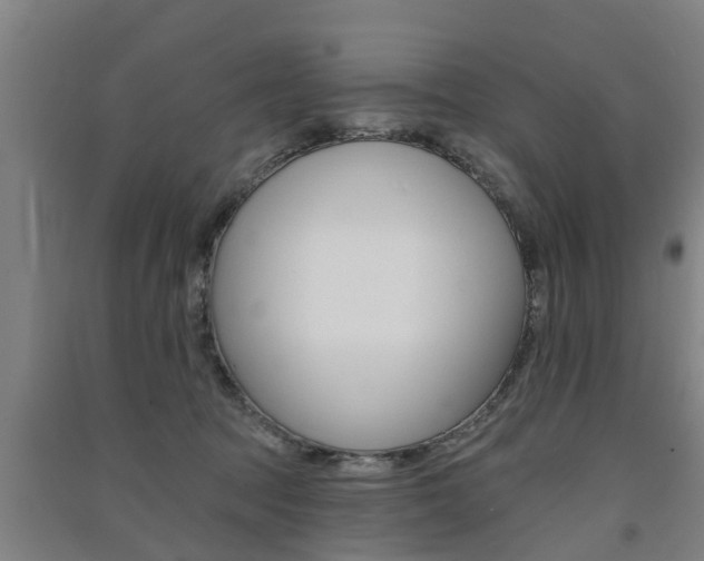 X0000091510369200708170954