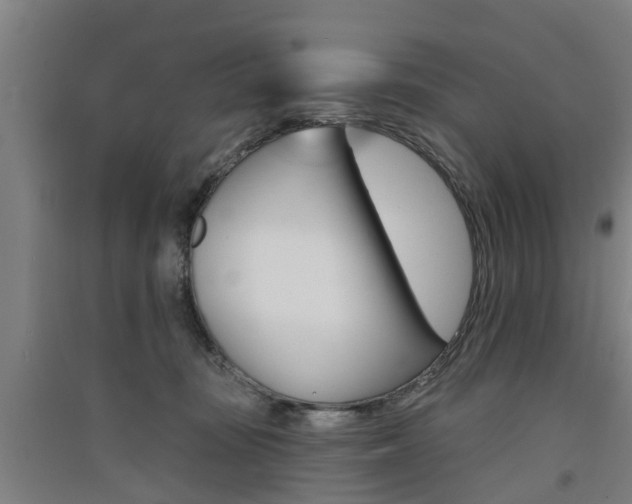 X0000091510371200708170954