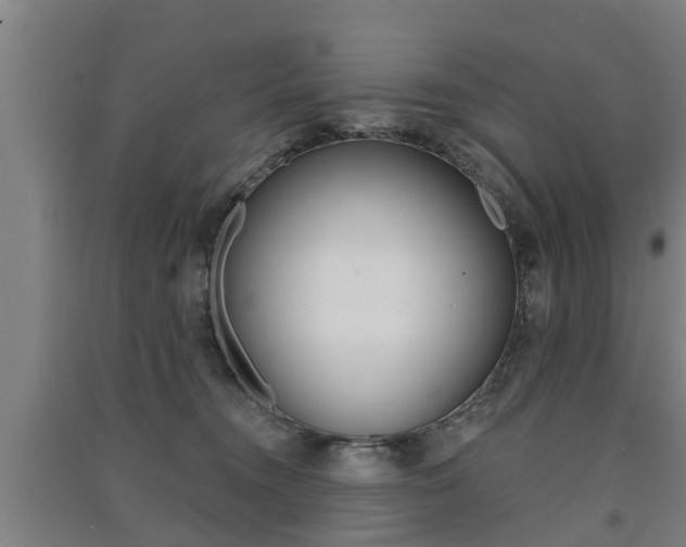 X0000091510372200708170954