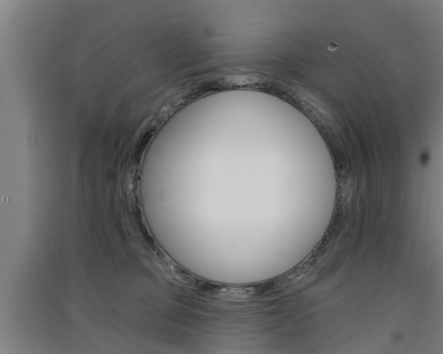 X0000091510373200708170954