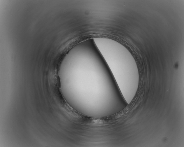 X0000091510376200708170954