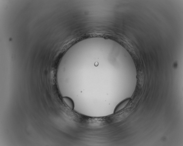 X0000091510378200708170954